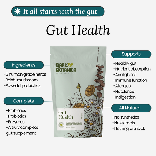 Gut Health